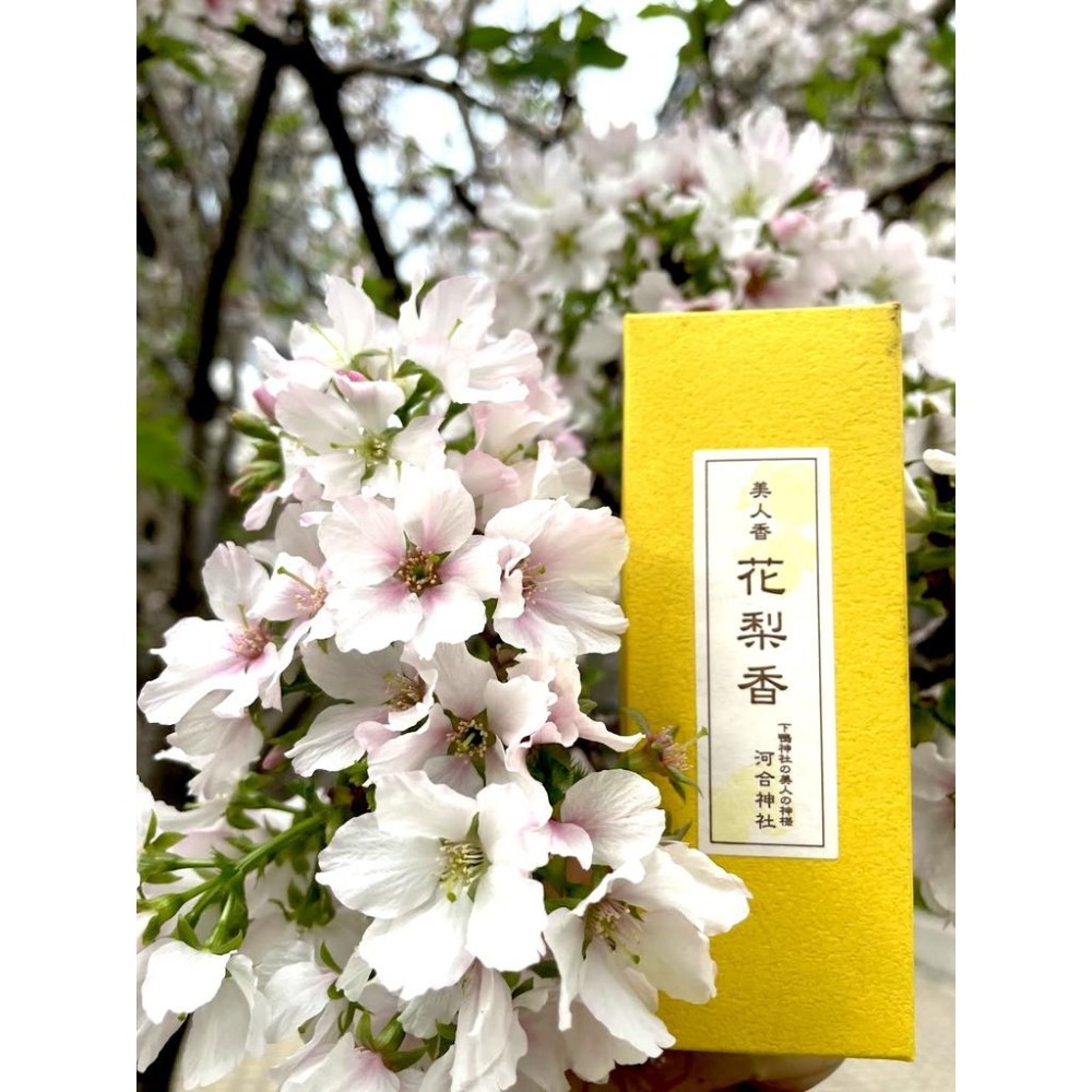 [宅米的窩]囊括高價經典日本寺院平等院/大覺寺/銀閣寺/下鴨 河合神社/六道珍皇寺/三室戶寺 短寸香試聞香組 限量上市-細節圖6