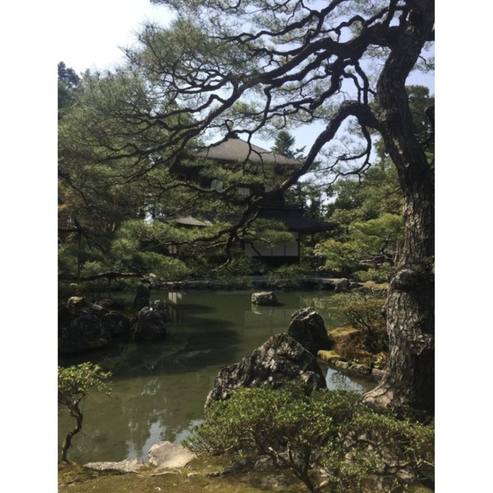 [宅米的窩]京都永觀堂みかえり回望香試聞香組＆佛現紫雲香-細節圖9