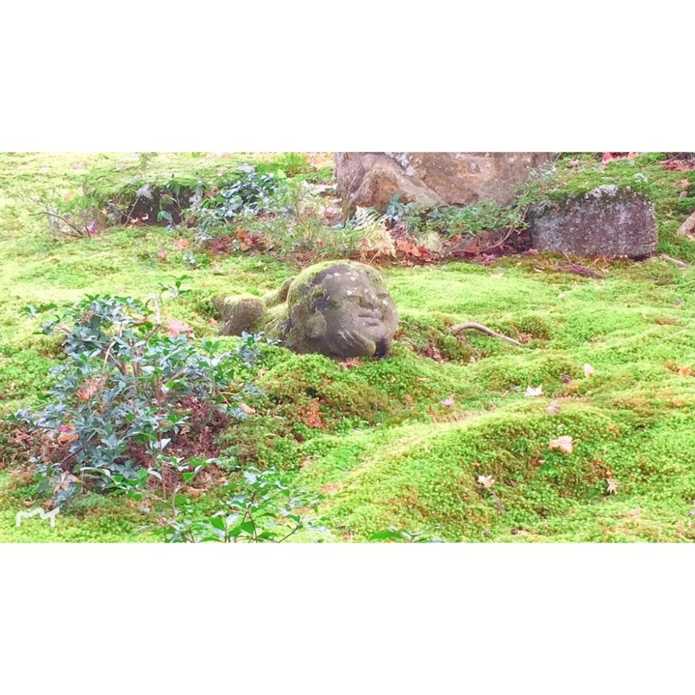 [宅米的窩]日本關西名勝寺院 試聞香套組 用香氣串起日本旅行的記憶 金閣寺 三十三間堂 限定  冥想 淨化-細節圖10