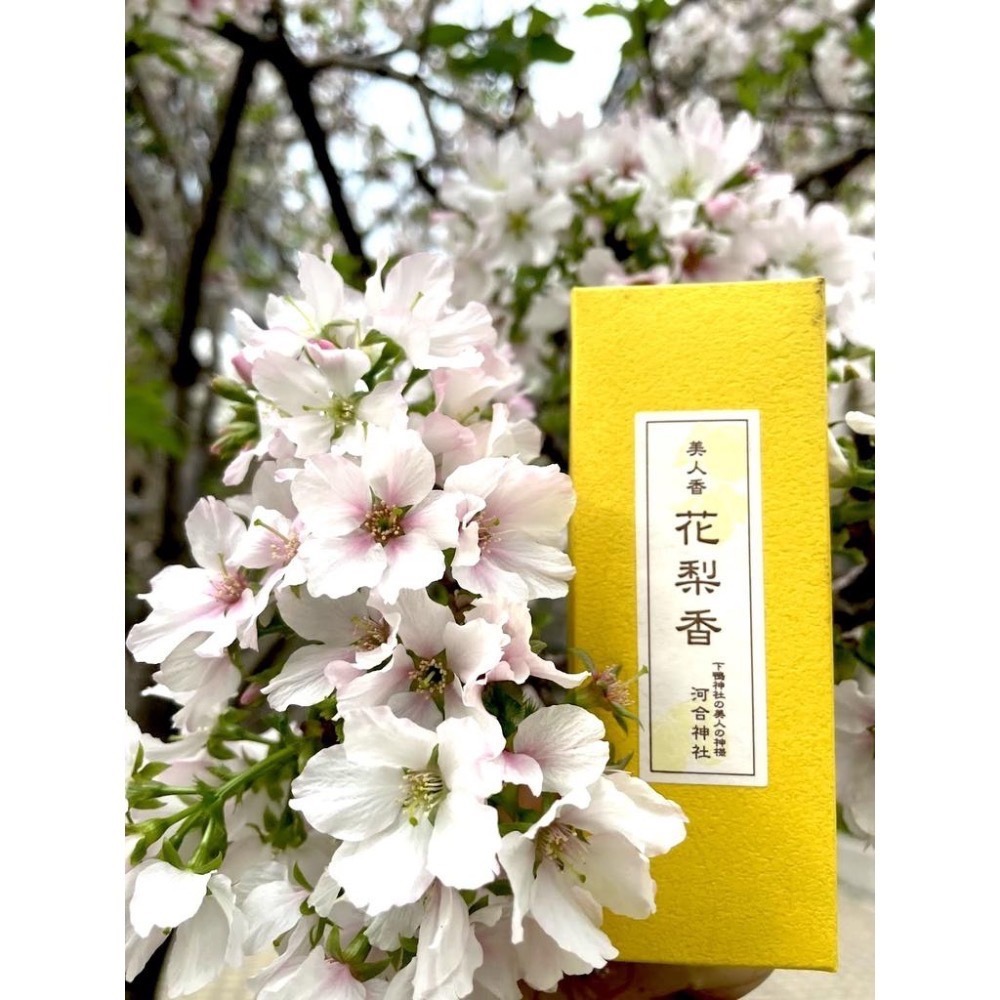 ［宅米的窩］美人必拜 河合神社御守 日本寺院限定 美人御守 (藍色,粉色) 美守 護祐妳美美的美麗之神-細節圖4