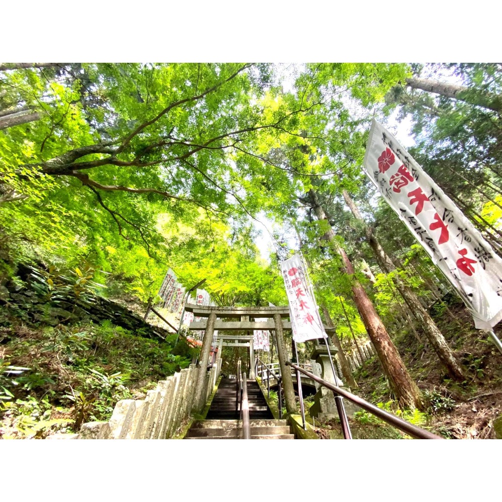 ［宅米的窩］日本寺院限定線香 古寺路迢迢 車少路遠限定賞味香組-細節圖10