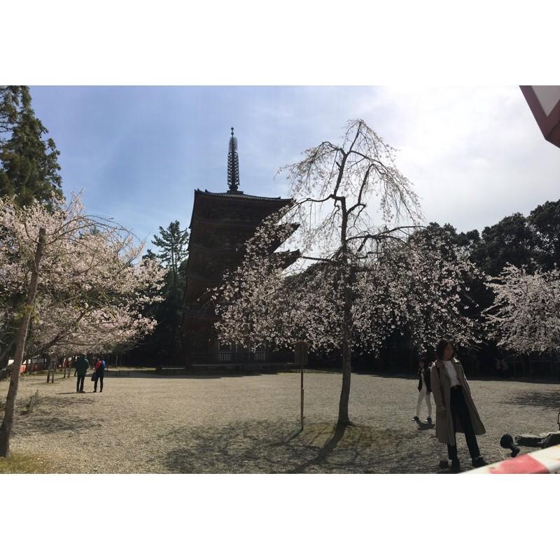 ［宅米的窩］古寺花香 日本古寺院限定香 花香試聞組(含16根線香+1個盤香)-細節圖7