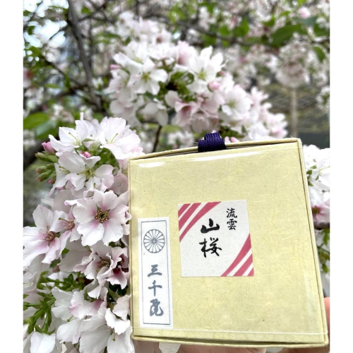 [宅米的窩] 京都三千院限定 山櫻流雲盤香 整盒組 日本線香