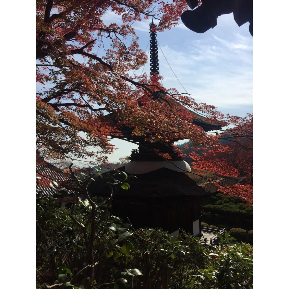 [宅米的窩]京都百萬遍知恩寺 沉香 整盒組 優雅沈穩的寺院限定香-細節圖9
