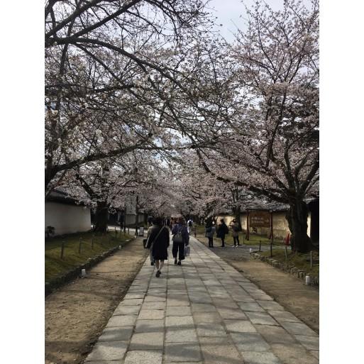 ［宅米的窩］ 春日花語 搖落梅/ 花街道杏花 / 花街道橙花/ 桃花鳥 / 一抺櫻 / 香藏 /紫陽花試聞分裝組-細節圖8