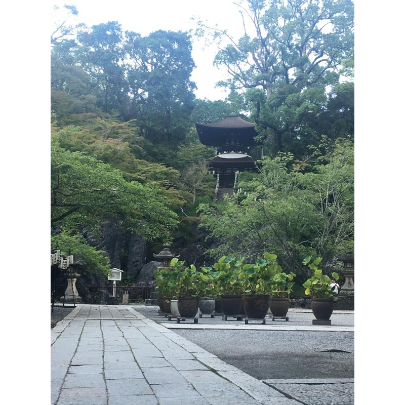 [宅米的窩] 日本滋賀石山寺限定線香 石山寺 觀音香/御香石山寺 /銘香関屋日本線香  整盒香 西國三十三觀音靈場第十三-細節圖8