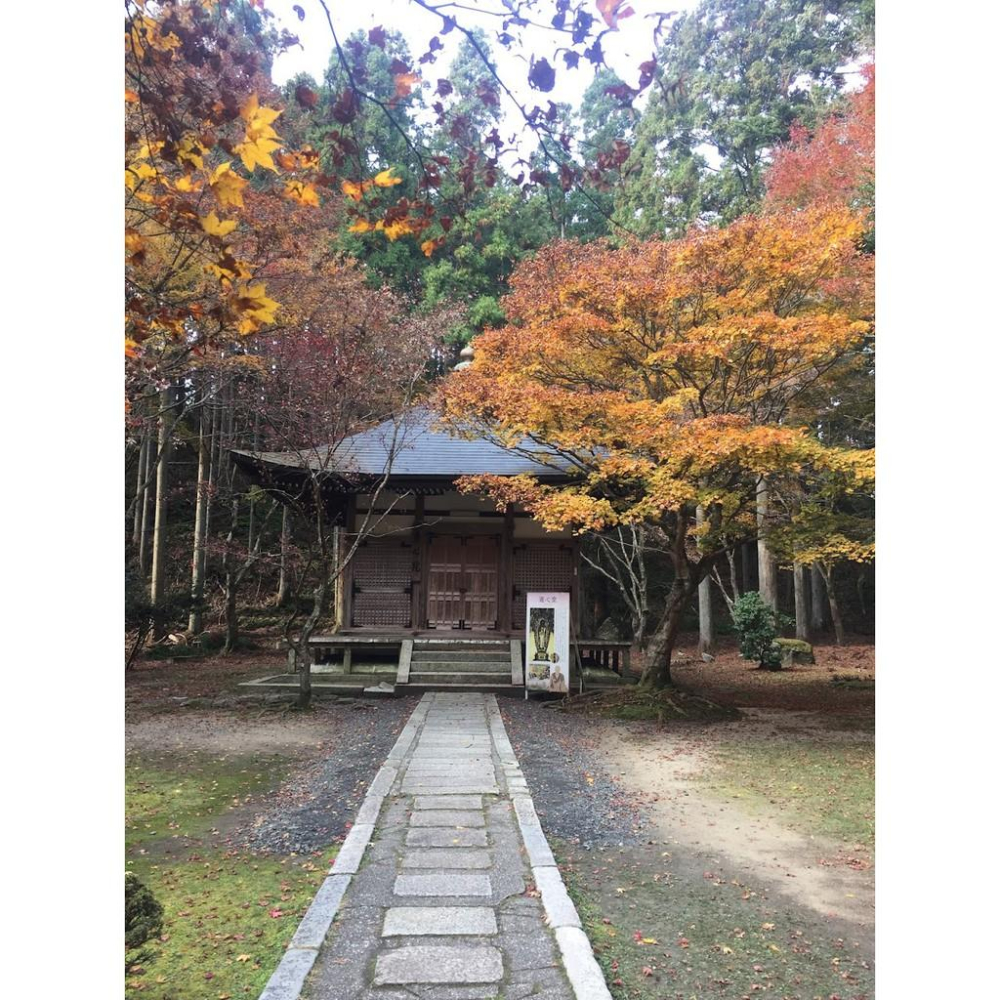 [宅米的窩]日本寺廟限定 古剎名香 京都比叡山延曆寺 山櫻/花紫 整盒組 在香氣中放鬆療癒-細節圖7