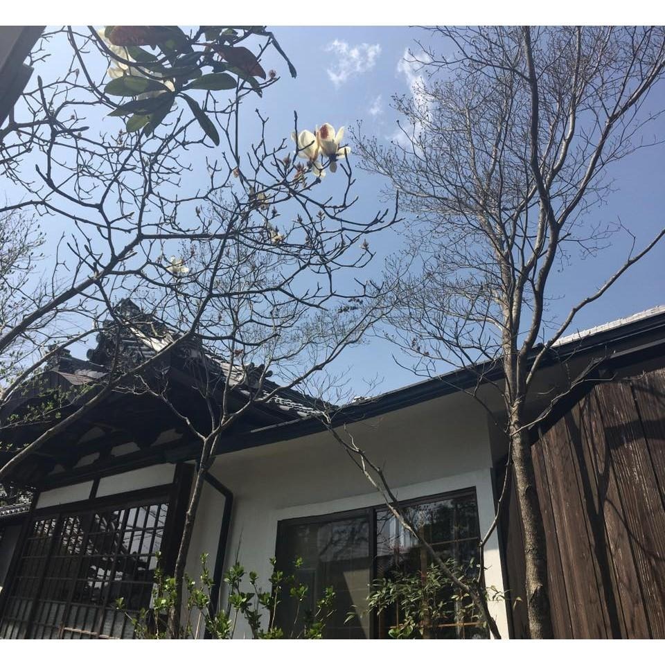 [宅米的窩]點好香 來好年 京都千年古剎 金閣寺/銀閣寺/永觀堂/南禪寺 日本線香 京都經典古寺試聞香組限定 2.0版-細節圖5