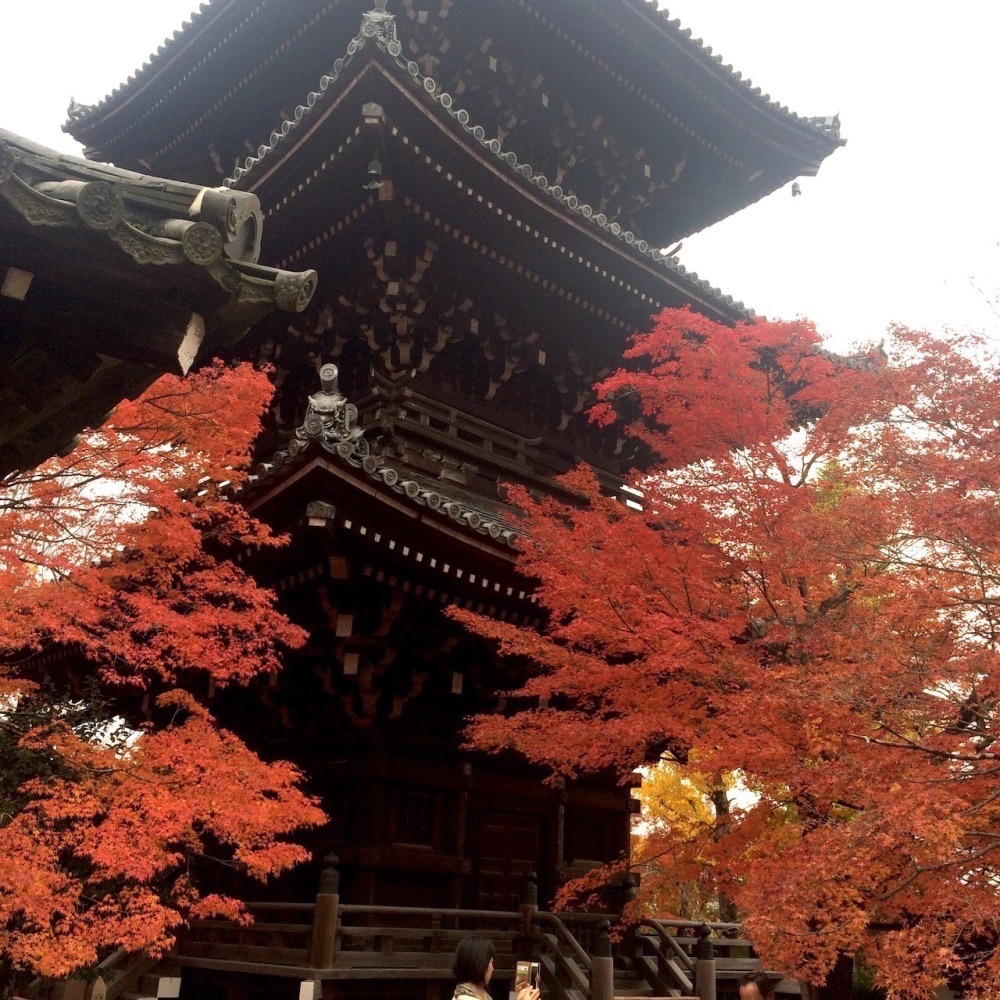 [宅米的窩] 京都 東寺 教王護國寺 不動明王 藥師如來 心願成就 葉之守 御守-細節圖10