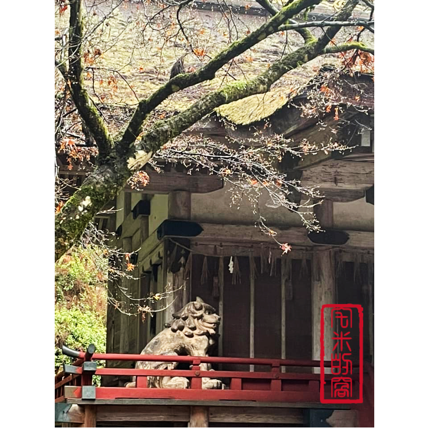 [宅米的窩] 佛系檜木香氣 比叡山 延曆寺限定 檜木 手指消毒 以千年古寺的檜木靈水香氣 來洗滌身心靈-細節圖11