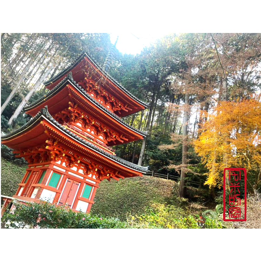 [宅米的窩]京都 木津川市 深山古寺 淨琉璃寺 日本線香 冥想 靜坐 療癒-細節圖8