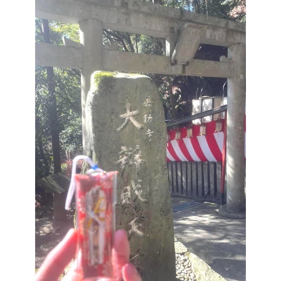 [宅米的窩] 入手困難 智慧才藝財富女神的守護  比叡山 無動寺弁天堂 辯天財女/才女 御守-細節圖7