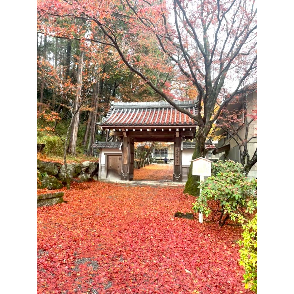 [宅米的窩] 日本 京都 嵐山 祇王寺 御守 花彩守 緣守 出逢 鈴 寺院限定-細節圖7