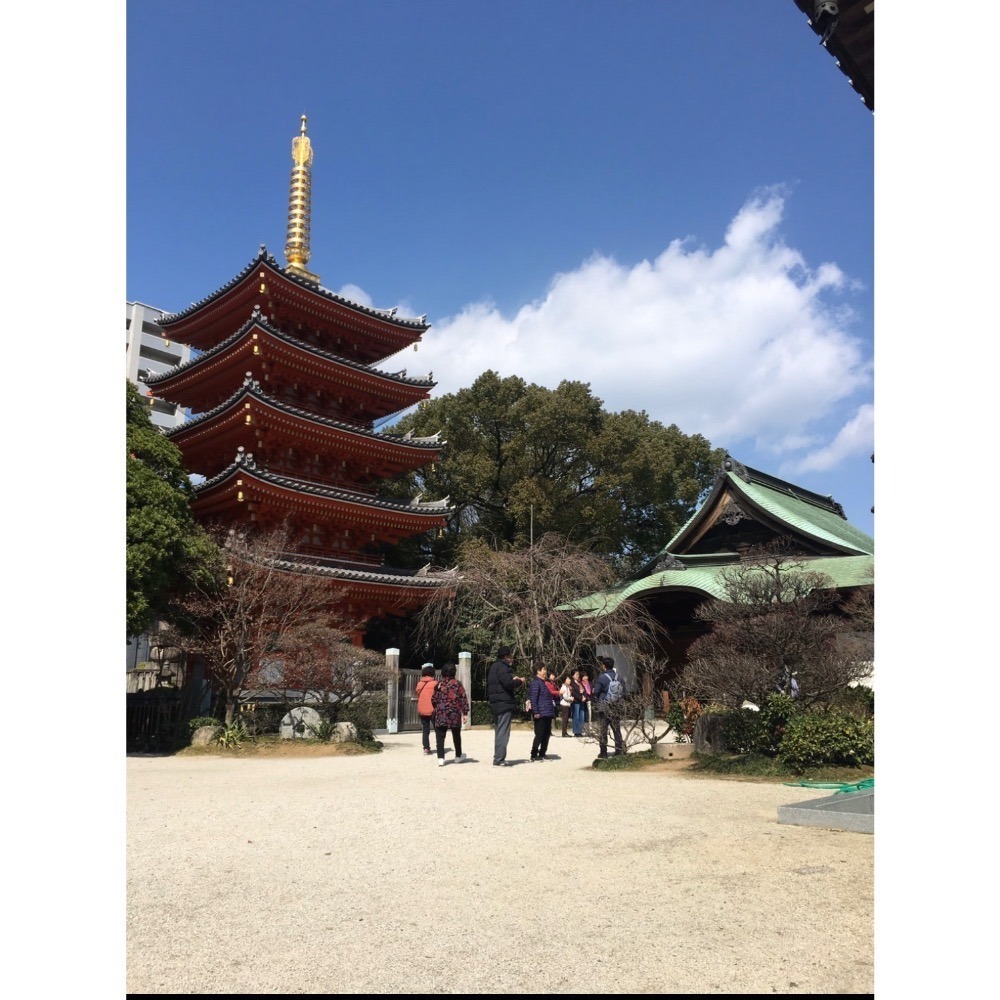 [宅米的窩] 日本福岡 東長寺 以守護佛寺五重塔建材邊角料製成的 檜木   御守 一物一圖 珍貴木料-細節圖8