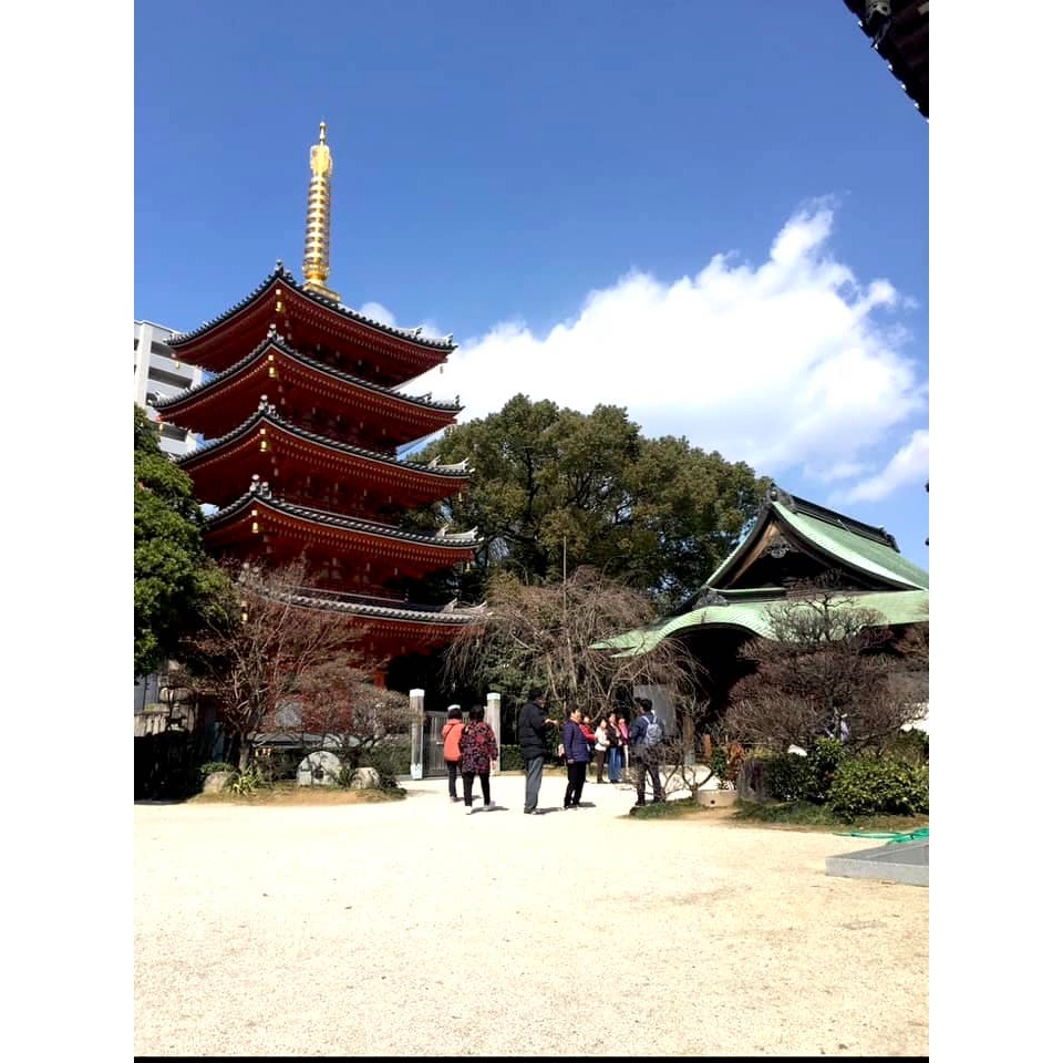 [宅民的窩] 九州最古老的真言宗寺廟 東長寺 龍吟 水琴守 美貌健康長壽守 御守 古寺能量守護-細節圖8