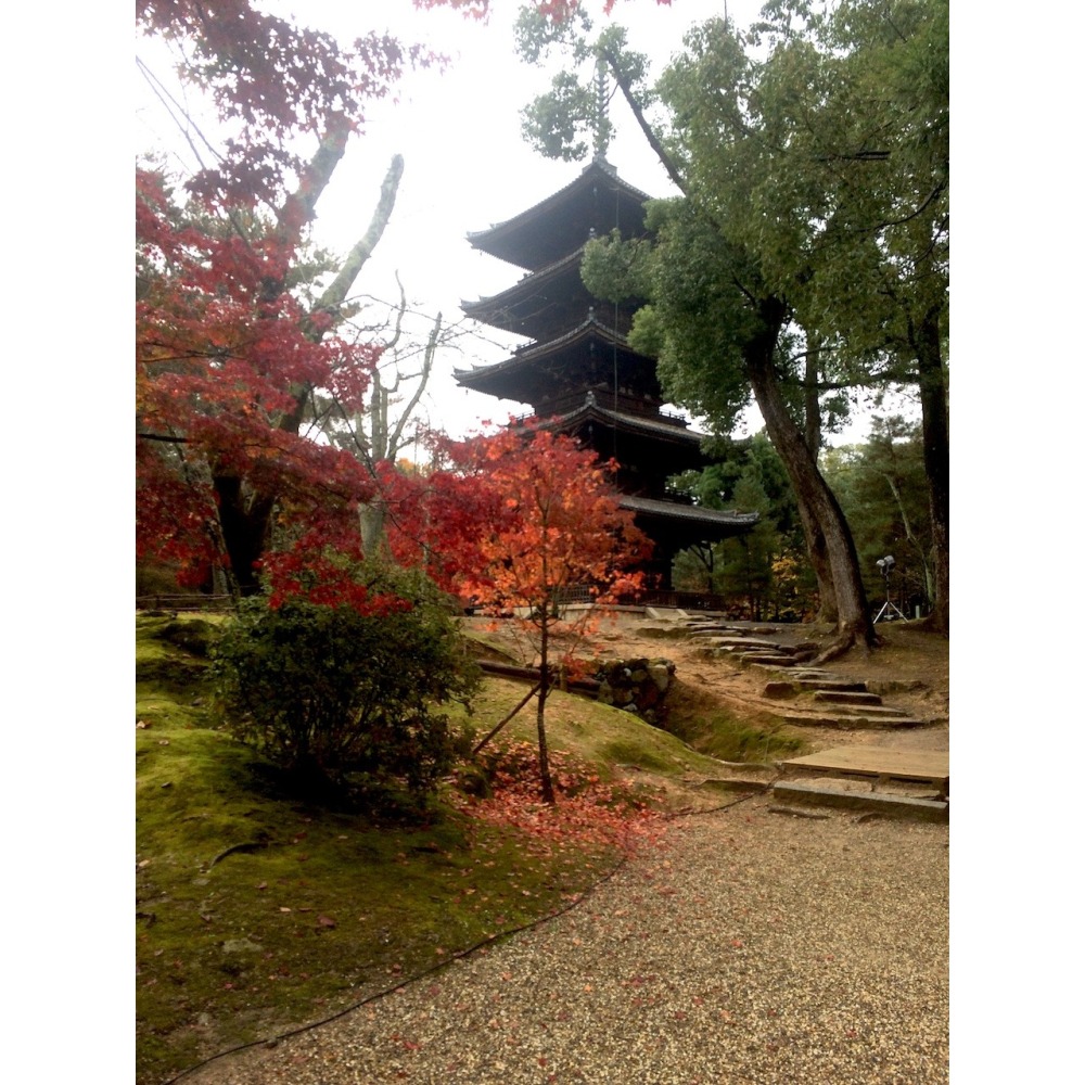 [宅米的窩] 來自 京都 千年神社 下鴨神社 限定 季節限定 紫陽花守 葵守  日本御守 最美的守護-細節圖10