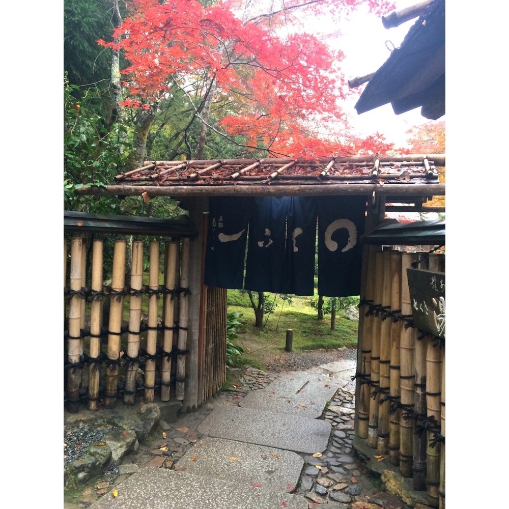 [宅米的窩] 來自 京都 千年神社 下鴨神社 限定 季節限定 紫陽花守 葵守  日本御守 最美的守護-細節圖11