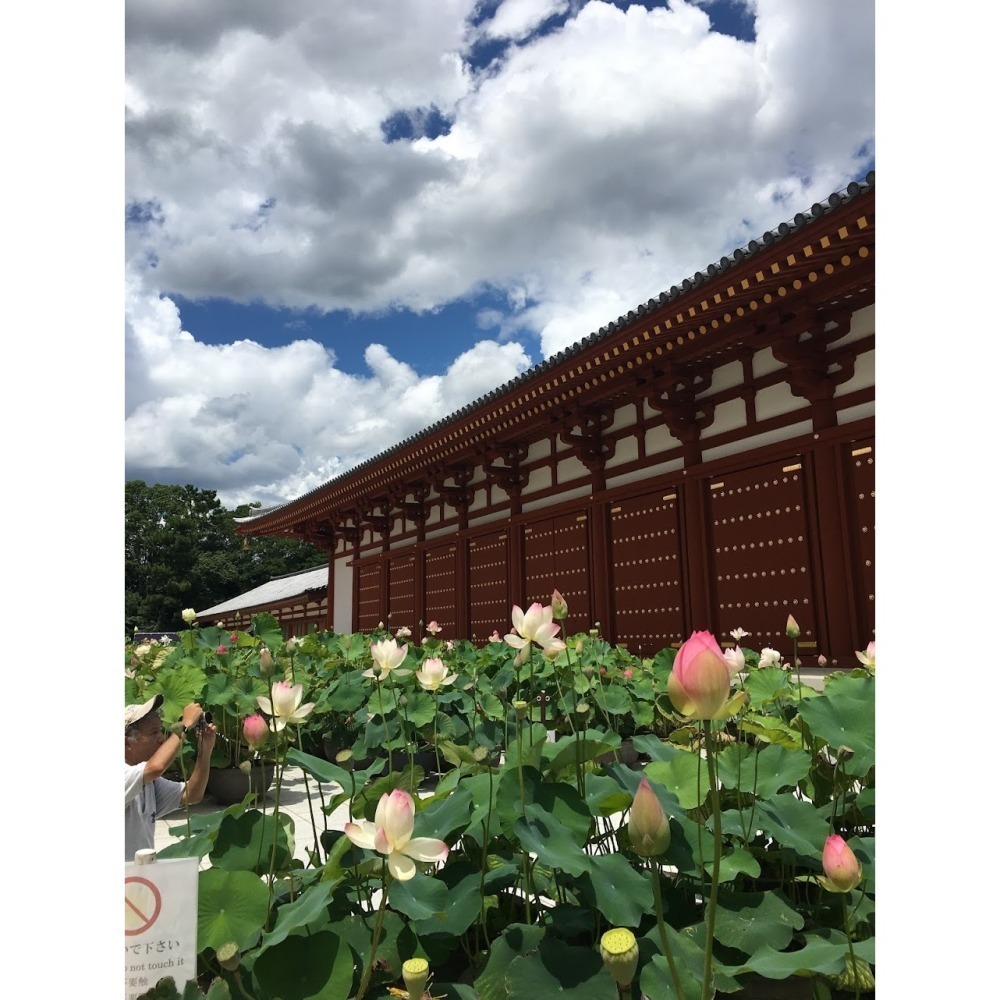 [宅米的窩] 一物一圖 奈良 藥師寺 限定 白檀手串 清甜淡雅的實木手串-細節圖10