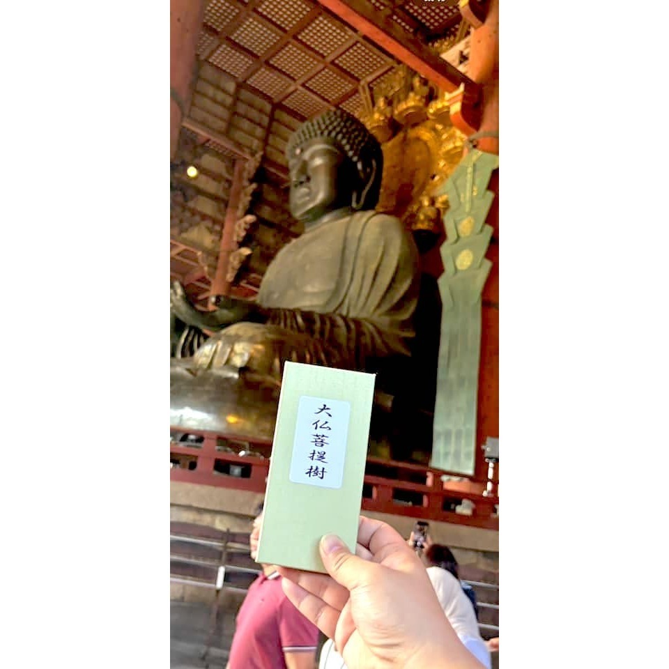 [宅米的窩] 一 物一圖  奈良 東大寺 大佛殿前 八百年菩提樹製 的佛珠  大佛菩提樹 手串 念珠 東大寺限定-細節圖3