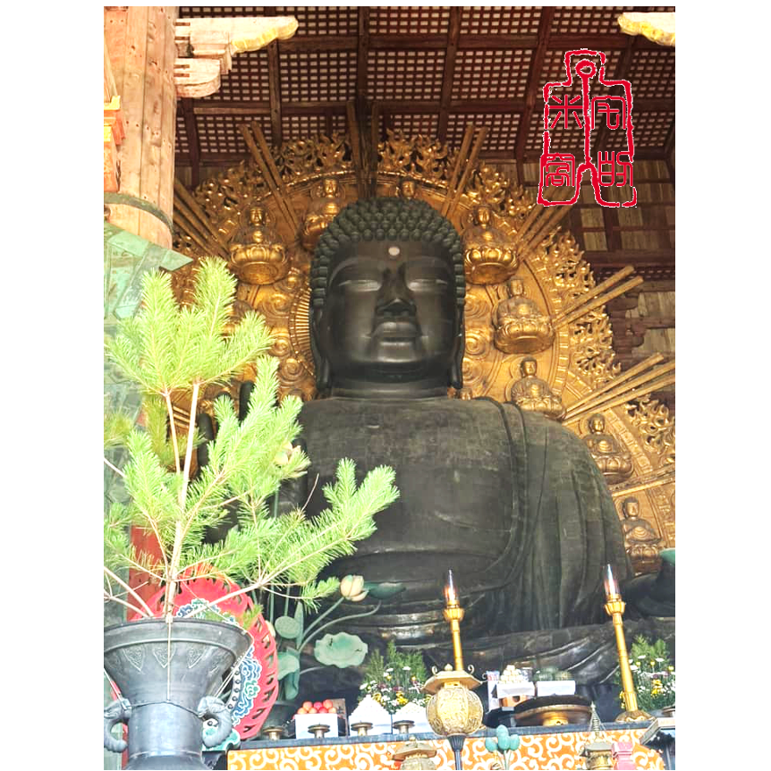 [宅米的窩] 一 物一圖  奈良 東大寺 大佛殿前 八百年菩提樹製 的佛珠  大佛菩提樹 手串 念珠 東大寺限定-細節圖11