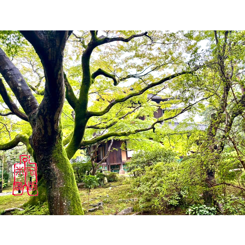 [宅米的窩] 難取得 奈良 山麓的千年古寺 正義守護 無病消災 小人退散 白毫寺 閻魔大王 手拭 手帕 掛畫-細節圖5