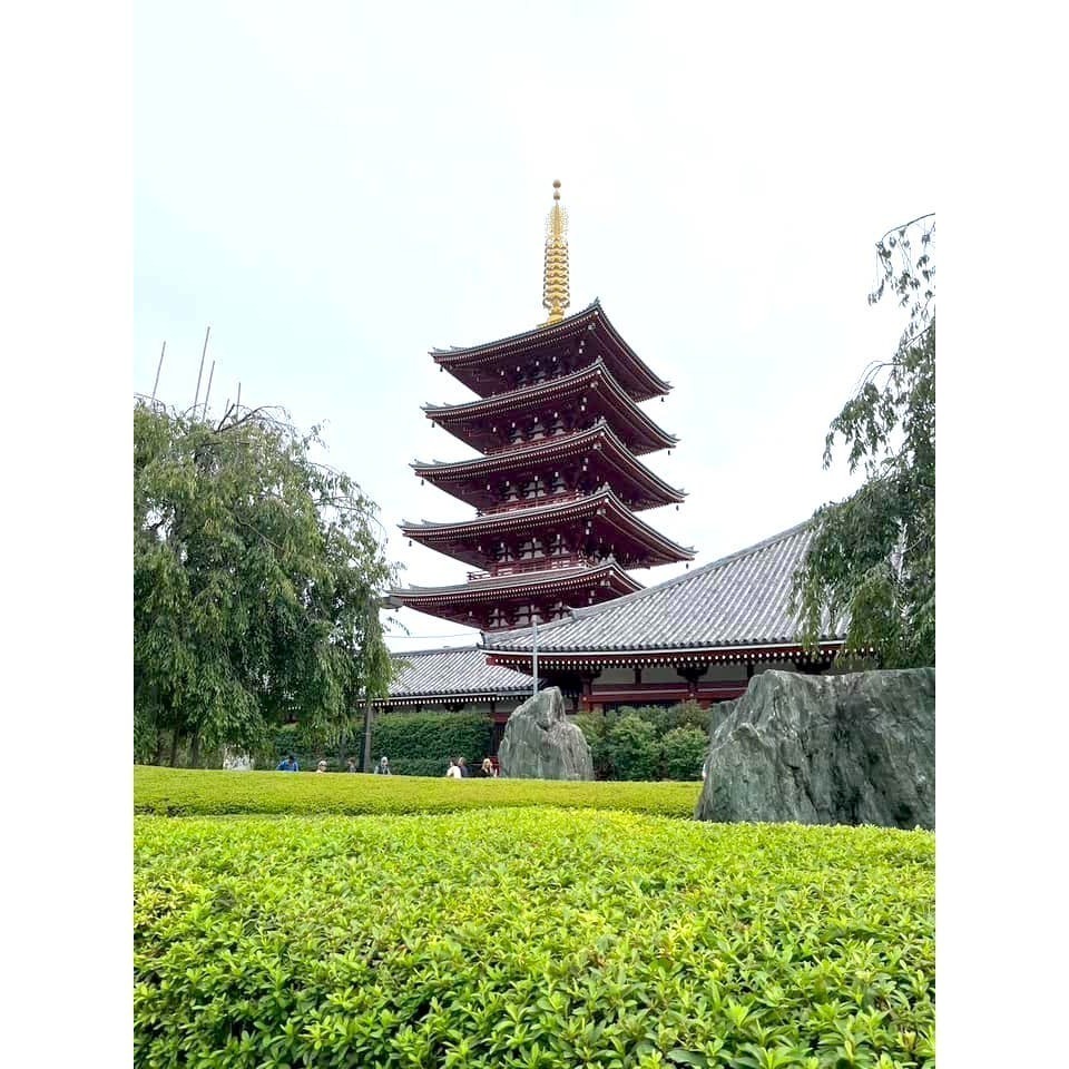 [宅米的窩] 一物一圖 殊勝限量限定 千年古寺 興福寺 以中金堂母柱為材 櫸木手串 念珠 京唸珠 安藤念珠店-細節圖8