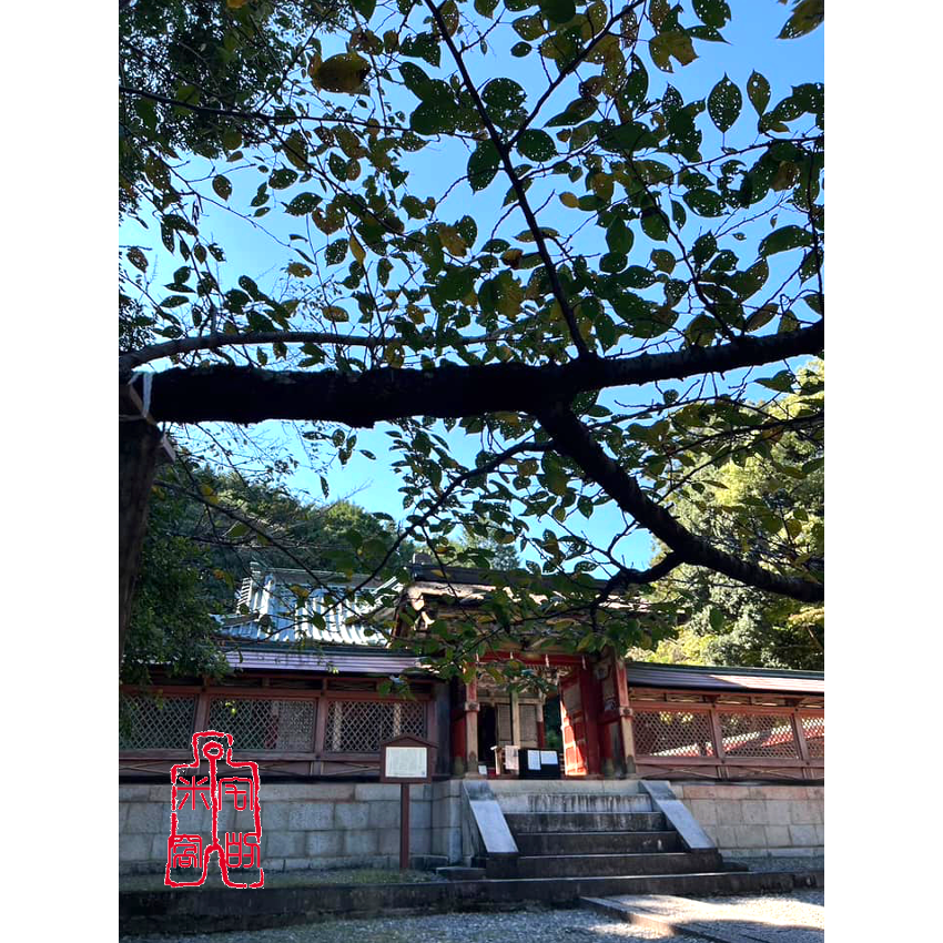 [宅米的窩] 信貴山 朝護孫子寺 好運茄子  小虎護身鳴笛   可愛的古寺守護 毘沙門天 財運自由 平安好運 日本 御守-細節圖7