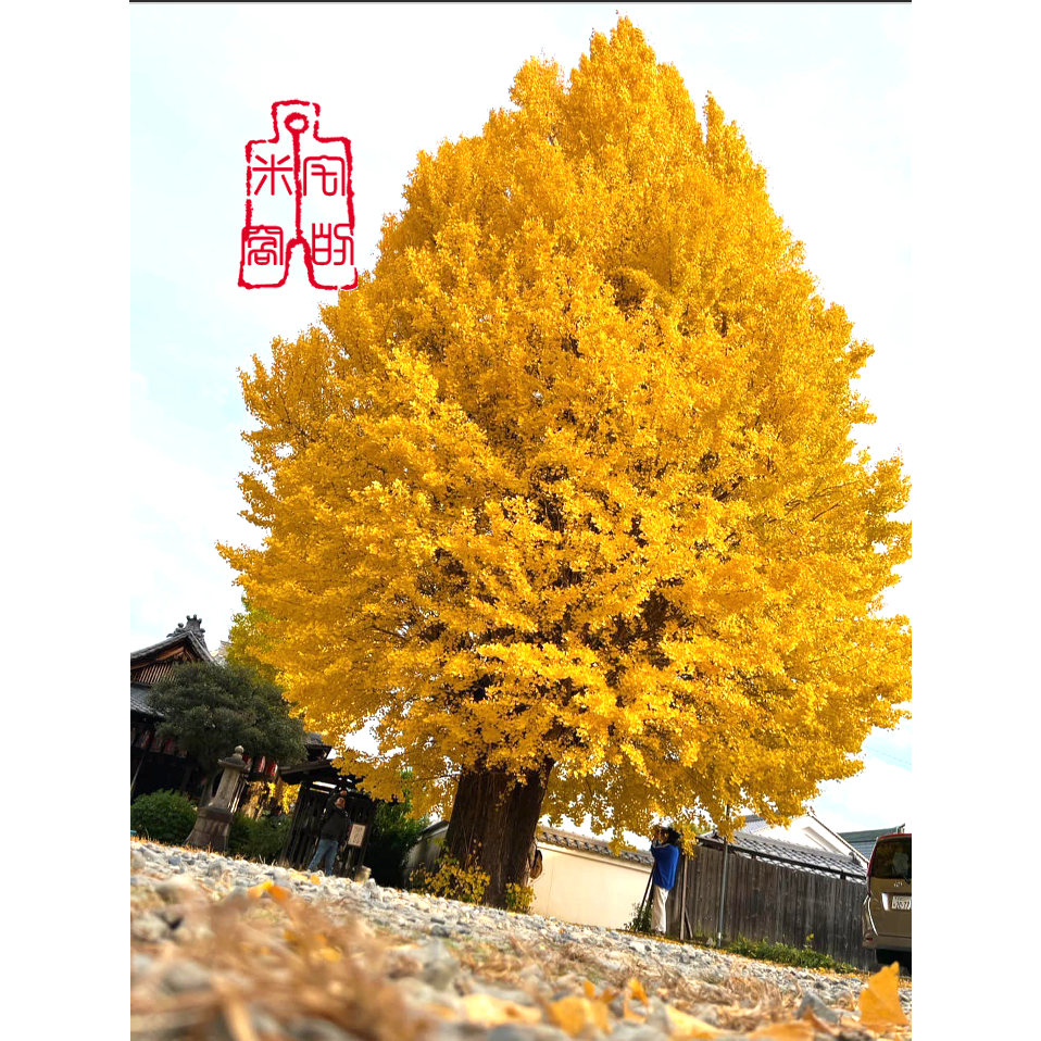 [宅米的窩] 一物一圖  極限定御念珠！京念珠  六道珍皇寺 夏越厄除念珠守  一年只有一四天販售 地藏王菩薩 閻王-細節圖11