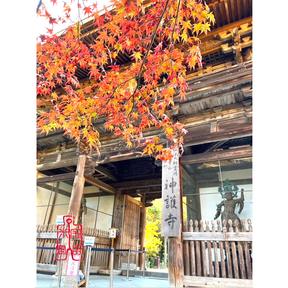 [宅米的窩] 梵字御守 山澗靈寺 神護寺 藥師如來 大黑天 毘沙門天 無病息災 金運勝運 家運隆盛 金卡護符 御守-細節圖8
