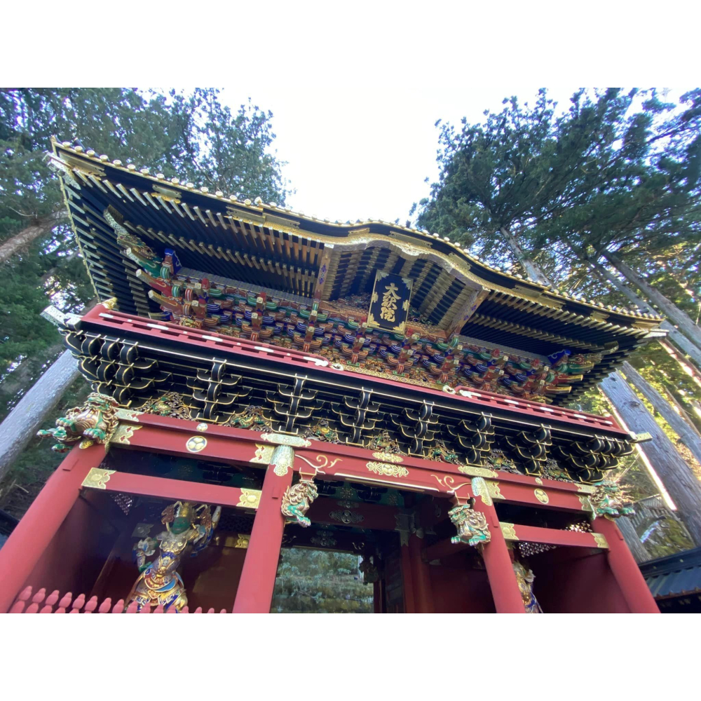 [宅米的窩] 厄除開運 御守 疫病之神 破獲之神 須佐之男命的守護 八坂神社 御守 總社-細節圖10