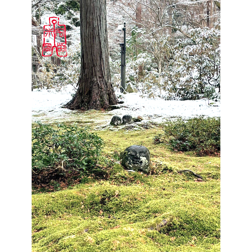 [宅米的窩]日本寺廟限定 古剎名香 大原寂光院 清香山/ 三千院三千院香 金色不動香 整盒組 點好香 好能量-細節圖10