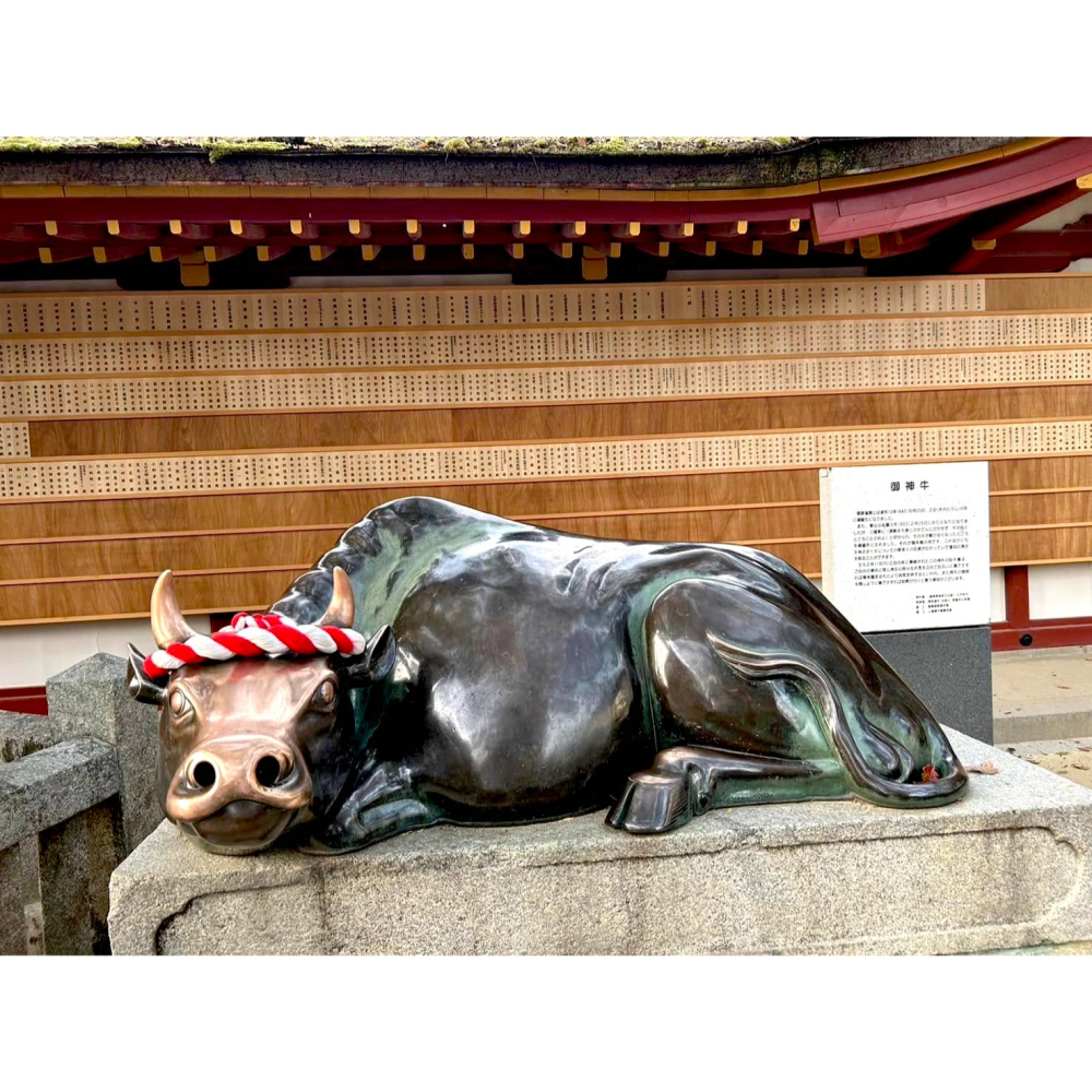 [宅米的窩] ⛩️福岡太宰府天満宮・災難除守 來自學問之神（平安時代超強怨靈）の強力庇護 除厄去難 築起結界-細節圖8
