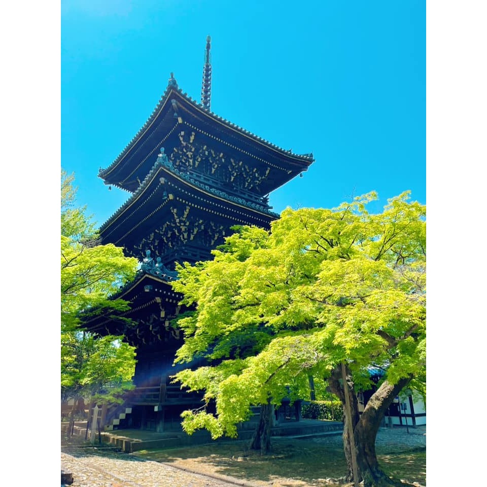 [宅米的窩]點好香 來好年 日本寺院限定 京都嵐山古寺試聞香套組 日本限定線香 線香 淨化 冥想-細節圖8