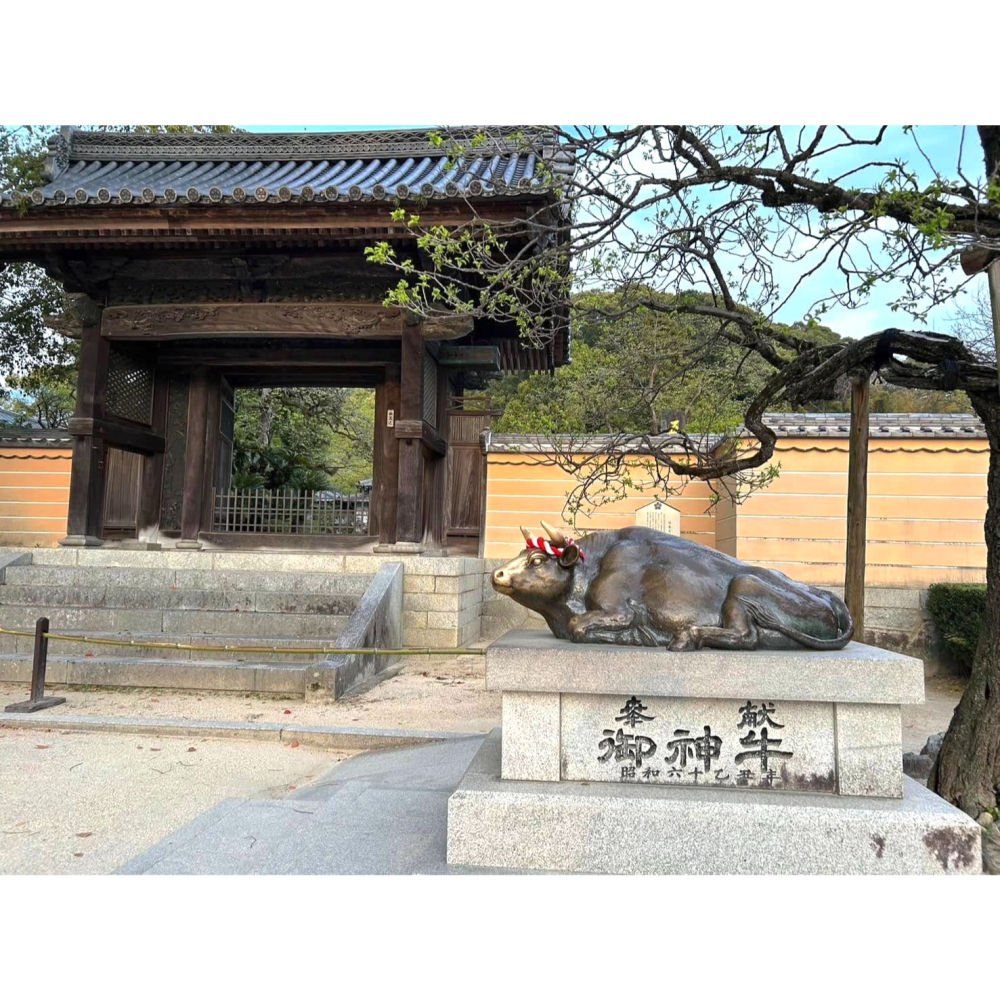 [宅米的窩] 一物一圖 桃灼 日式香皿 香立 香插組 福氣飽滿的碩桃 只此一個 售完不補 一秒創造甜美日式小空間-細節圖5