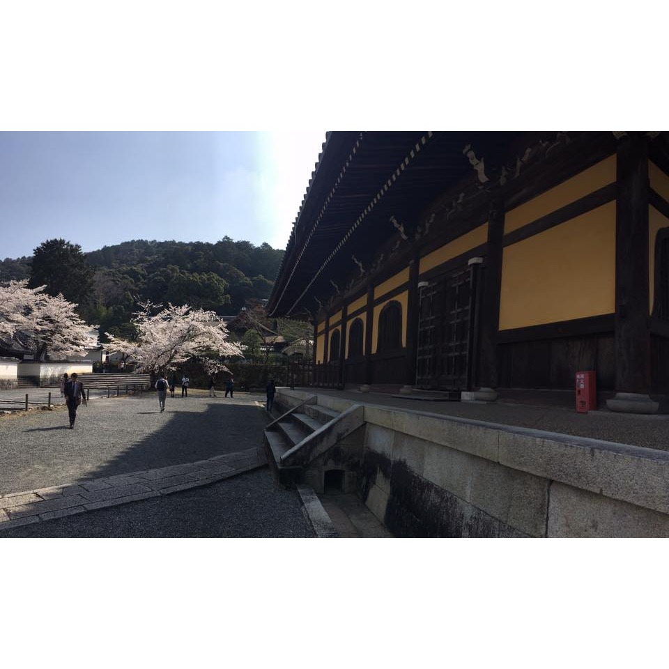 [宅米的窩] 一葉一菩提 日式 禪意 香立 香皿 香插 點好香 好磁場 好心境 一秒創造日式清淨磁場-細節圖11