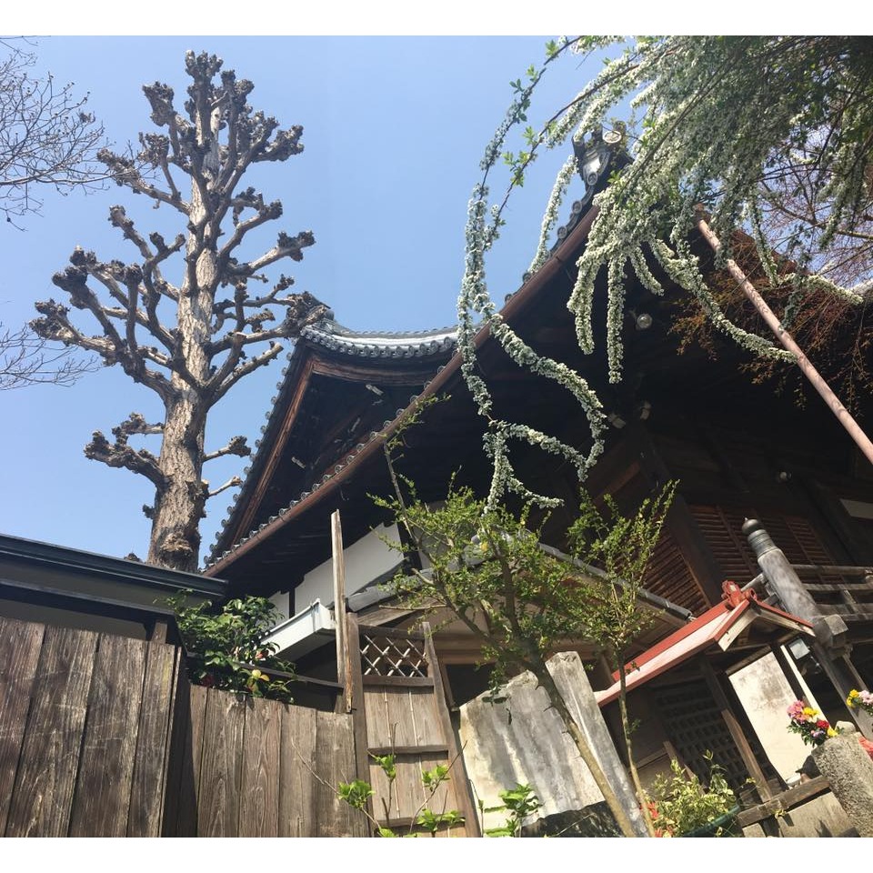 ［宅米的窩］奈良 唐招提寺 天平香沈香/天平香瓊花/唐招提寺蓮 /青蓮 淡雅花香 日本寺院限定線香 整盒組-細節圖9