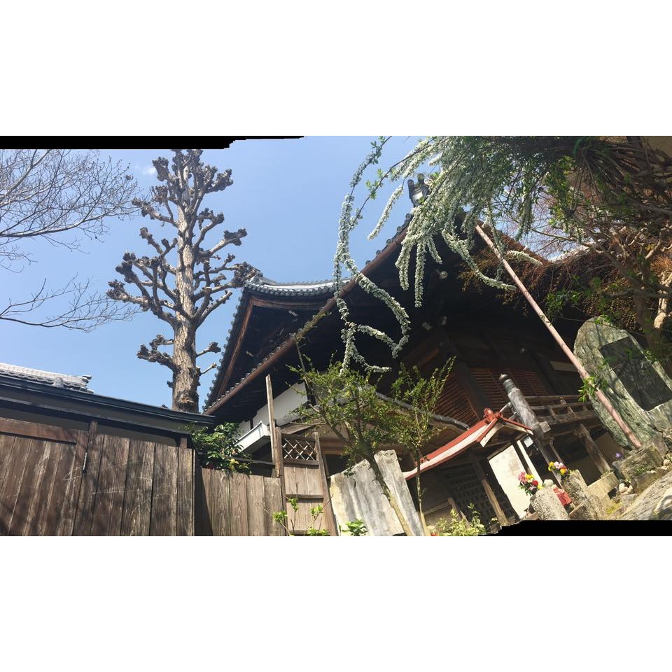 ［宅米的窩］難得少見限定線香 奈良興福寺中金堂再建紀念御香 靜心 冥想 日本線香-細節圖7