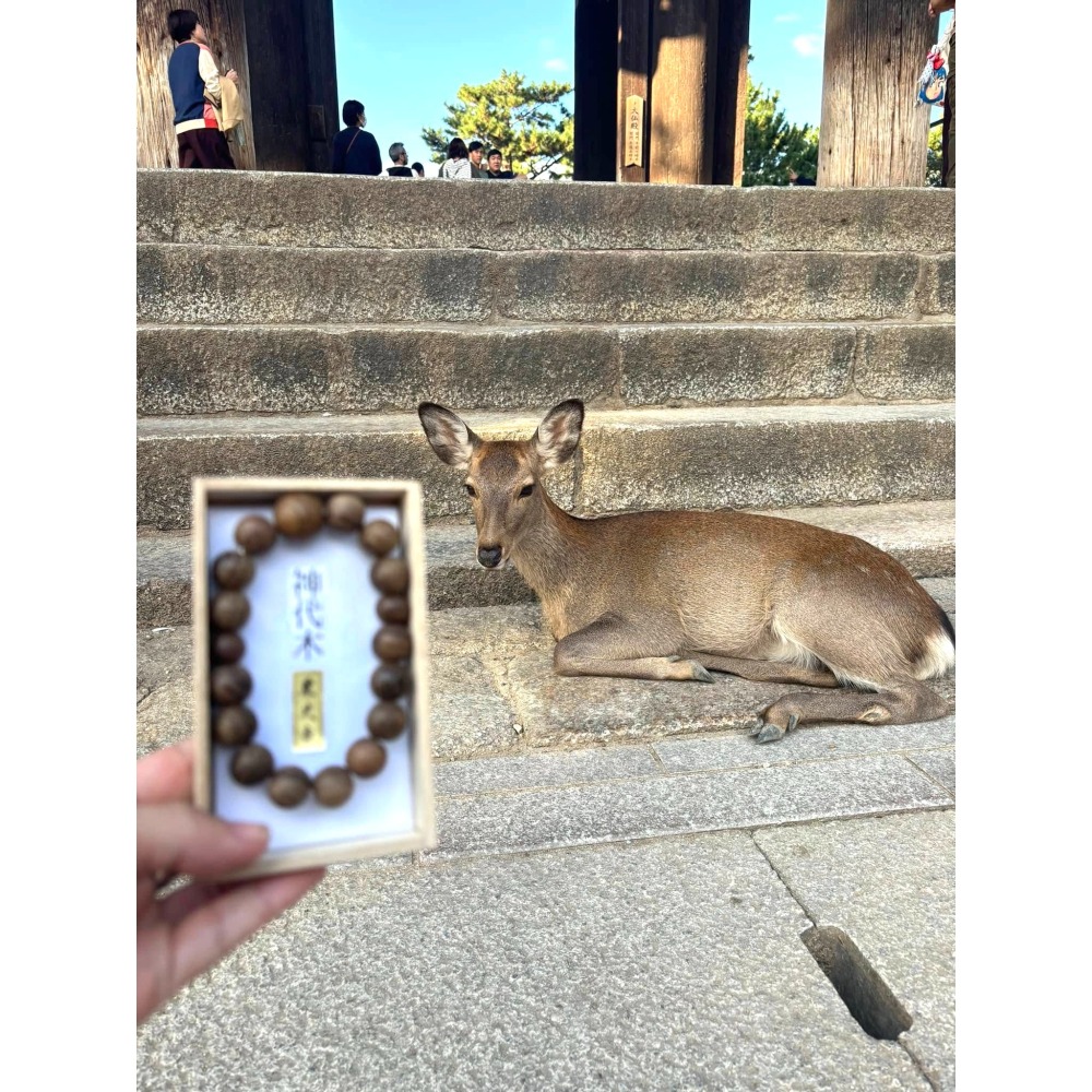[宅米的窩] 一物一圖  只此一串 殊勝限量限定  東大寺 千年古木 神代木 念珠 京唸珠 日本念珠 只此一串-細節圖4