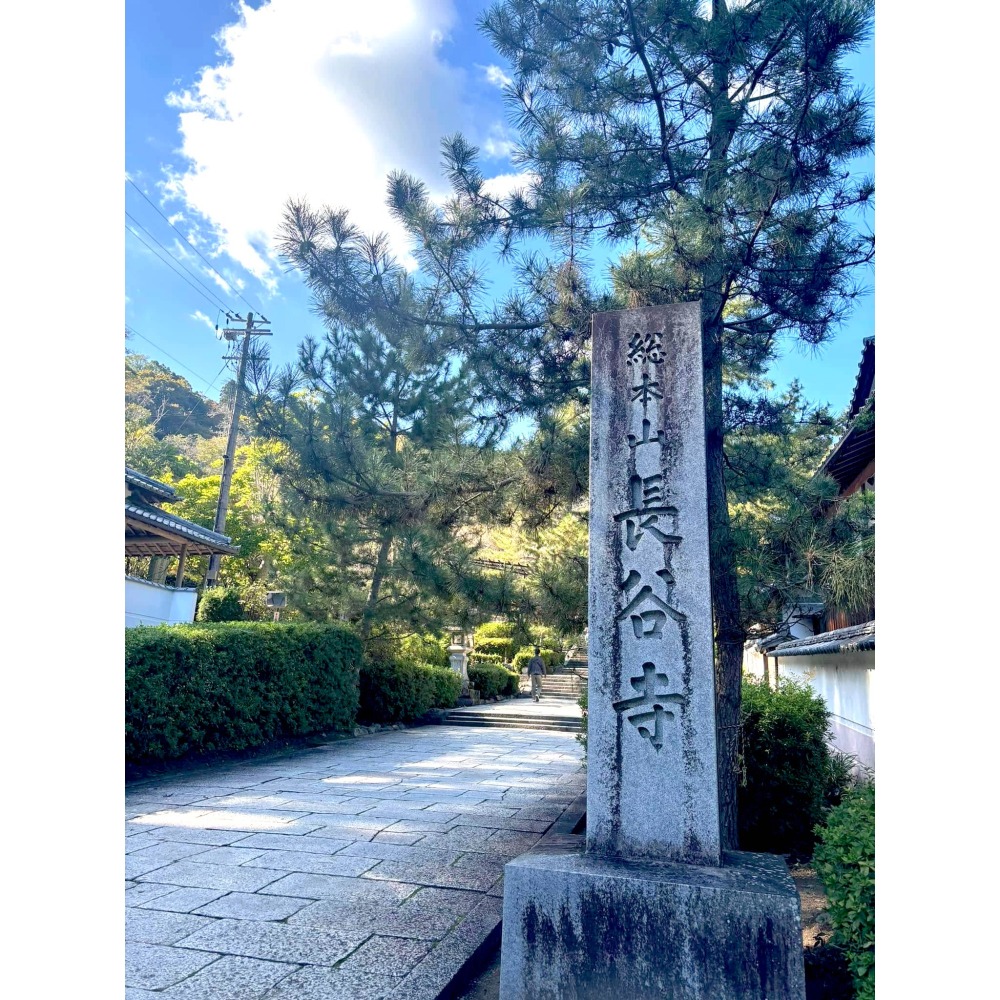[宅米的窩] 奈良 長谷寺 秋季限定  手工製 紅葉  驅邪去厄 水引 御守 招福吉祥  奈良花之寺 十一面觀音的守護-細節圖10