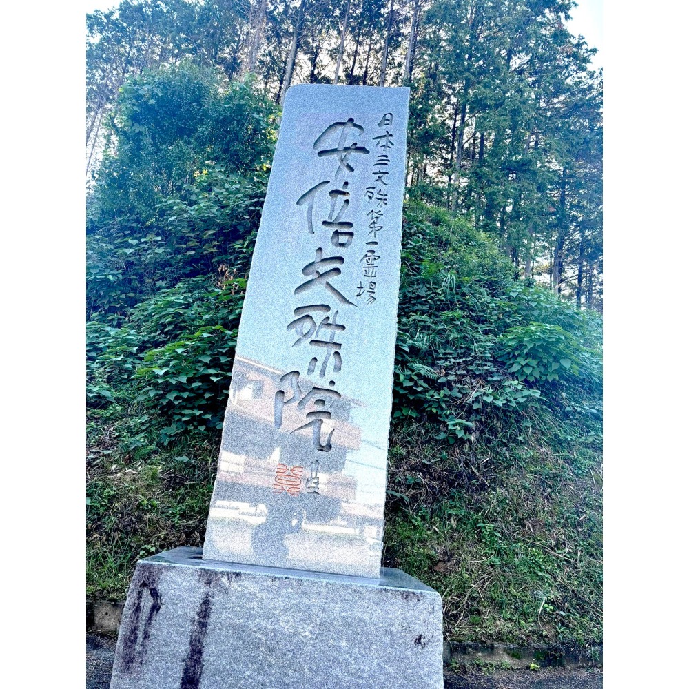 [宅米的窩] 奈良 安倍文殊院  已過香爐加持 文殊菩薩 除魔護符 病氣平癒 導き守り 智慧決斷守 御守-細節圖8