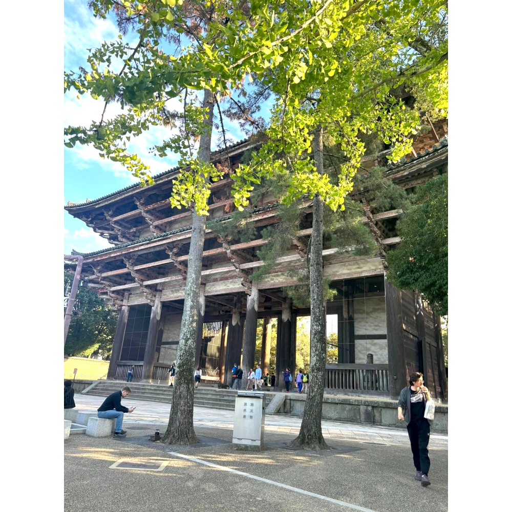 [宅米的窩] 奈良 興福寺 學業成就 文殊菩薩御守 成就鉛筆 古佛護佑 開智慧 事業學業 睿智成就-細節圖5