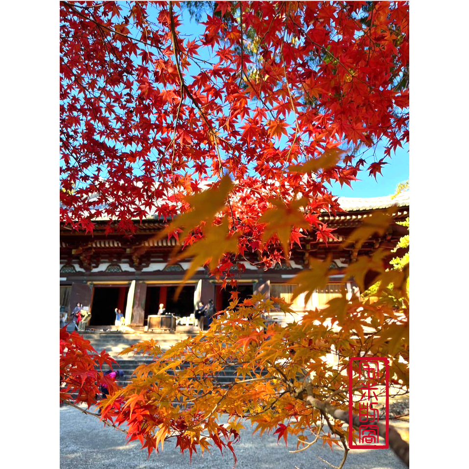 [宅米的窩] 一物一圖  限定念珠 京都 東寺 限定 不動明王 念珠  開智慧 斬斷煩惱業障 守護事業  京念珠-細節圖9