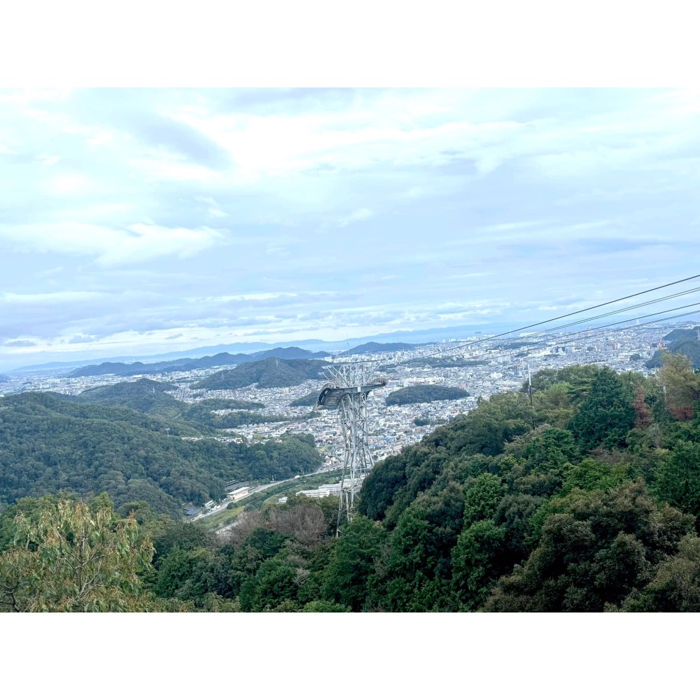[宅米的窩] 書寫山 圓教寺 限定 寶珠香 如意輪觀音香 眾怨悉退散香 靜化 .冥想. 好能量 好磁場 日本線香-細節圖8