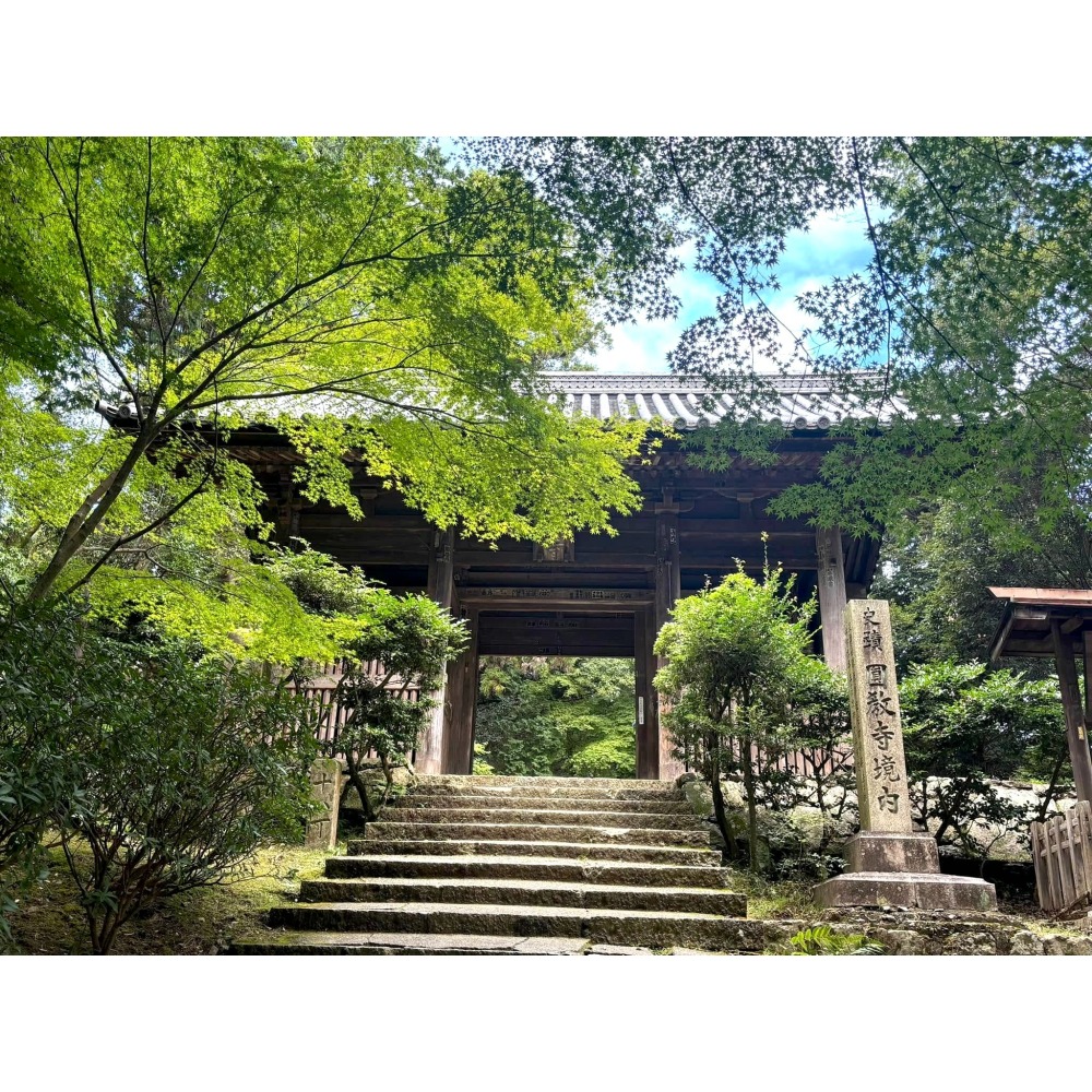 [宅米的窩] 書寫山 圓教寺 限定 寶珠香 如意輪觀音香 眾怨悉退散香 靜化 .冥想. 好能量 好磁場 日本線香 試聞香-細節圖8