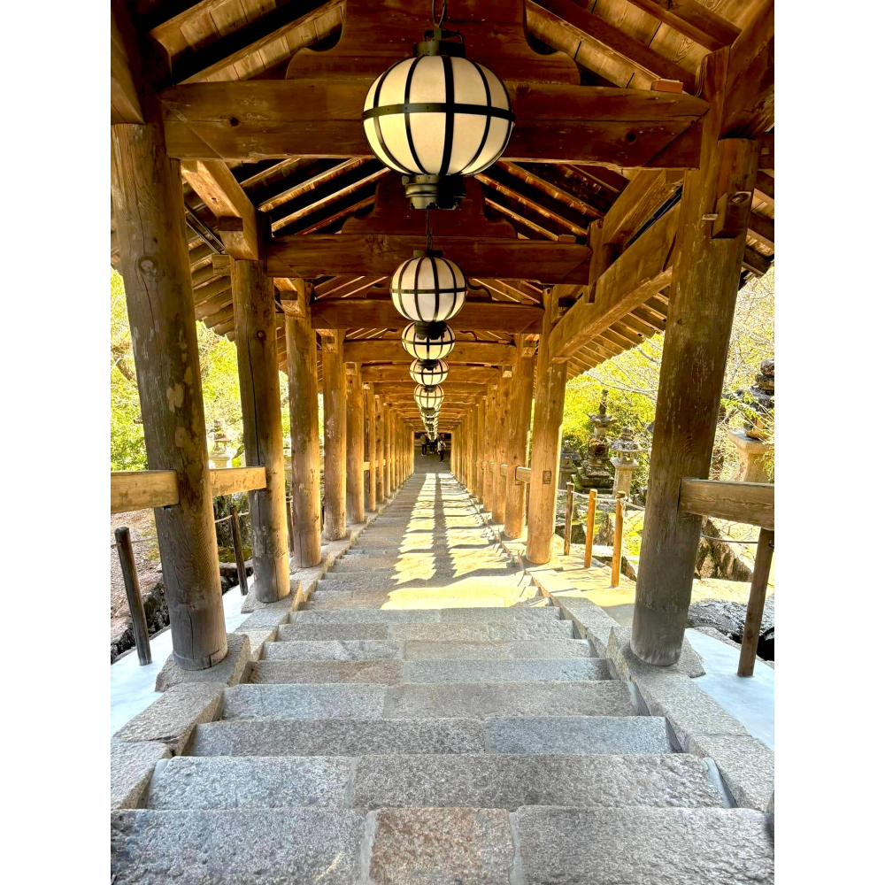 [宅米的窩] 奈良 大和 長谷寺 線香 初瀨香 豐山香 分裝香 日本線香 靜心 冥想 淨化 試聞香組 以香氣療癒-細節圖10