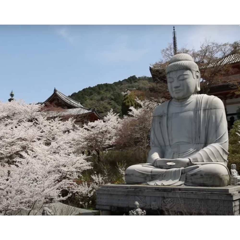 [宅米的窩]佛系花香 奈良 壺阪寺 櫻大佛 羅弁陀阿線香 日本線香 治療眼疾靈驗聞名的古寺 整盒組-細節圖10