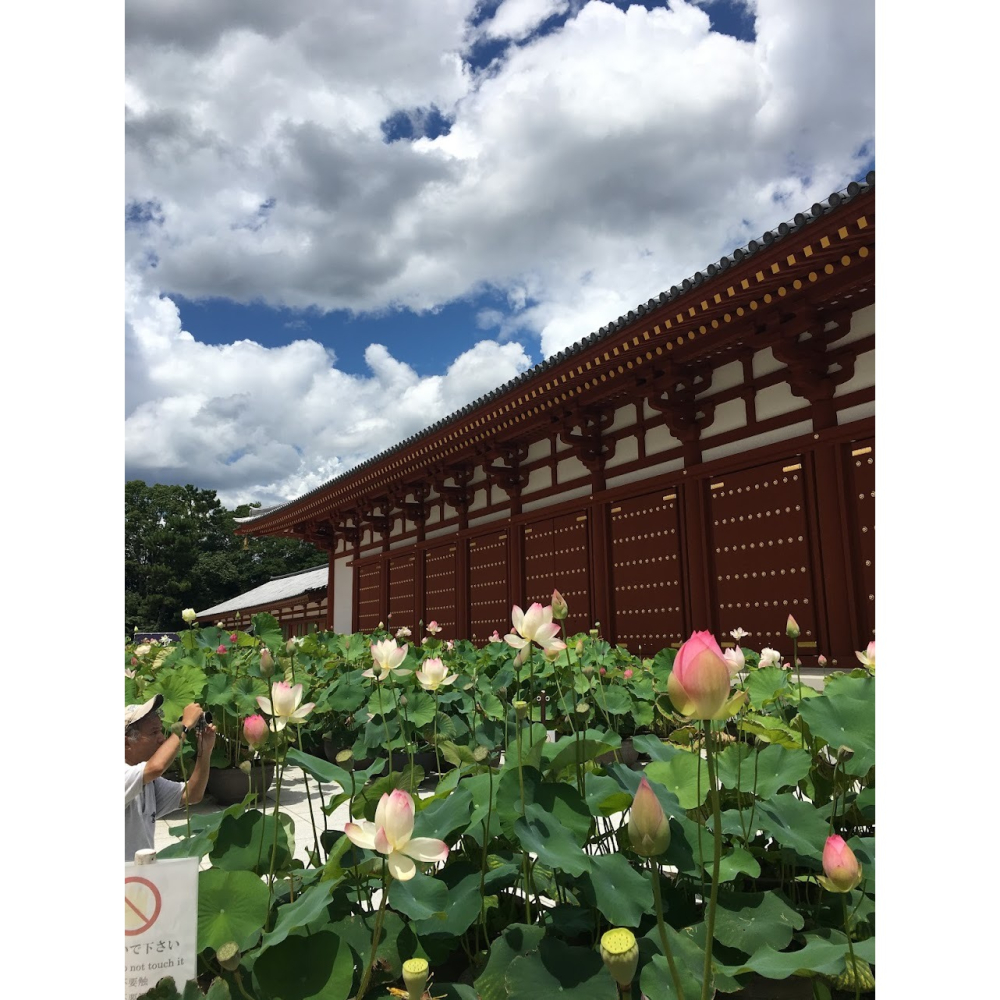 [宅米的窩] 平安貴族 優優雅雅地日常 手巾 奈良 藥師寺 限定 白雪友禪 鋪巾 拭巾 優雅的手巾 擦巾 古寺限定-細節圖9