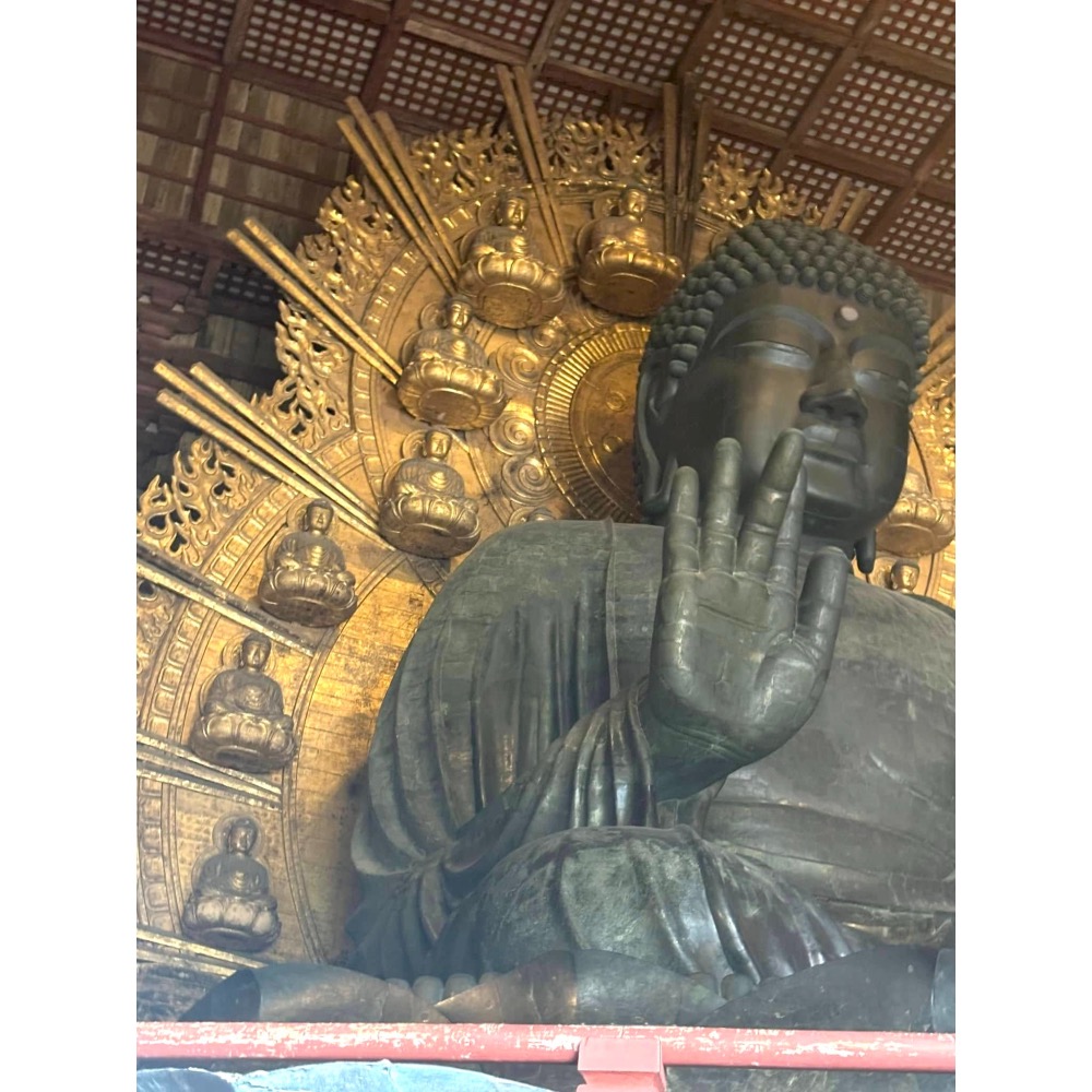 [宅米的窩] 少見獨特 奈良  限定 地區限定香  白檀 木蓮 金木犀 線香 靜心 冥想 淨化 線香-細節圖6