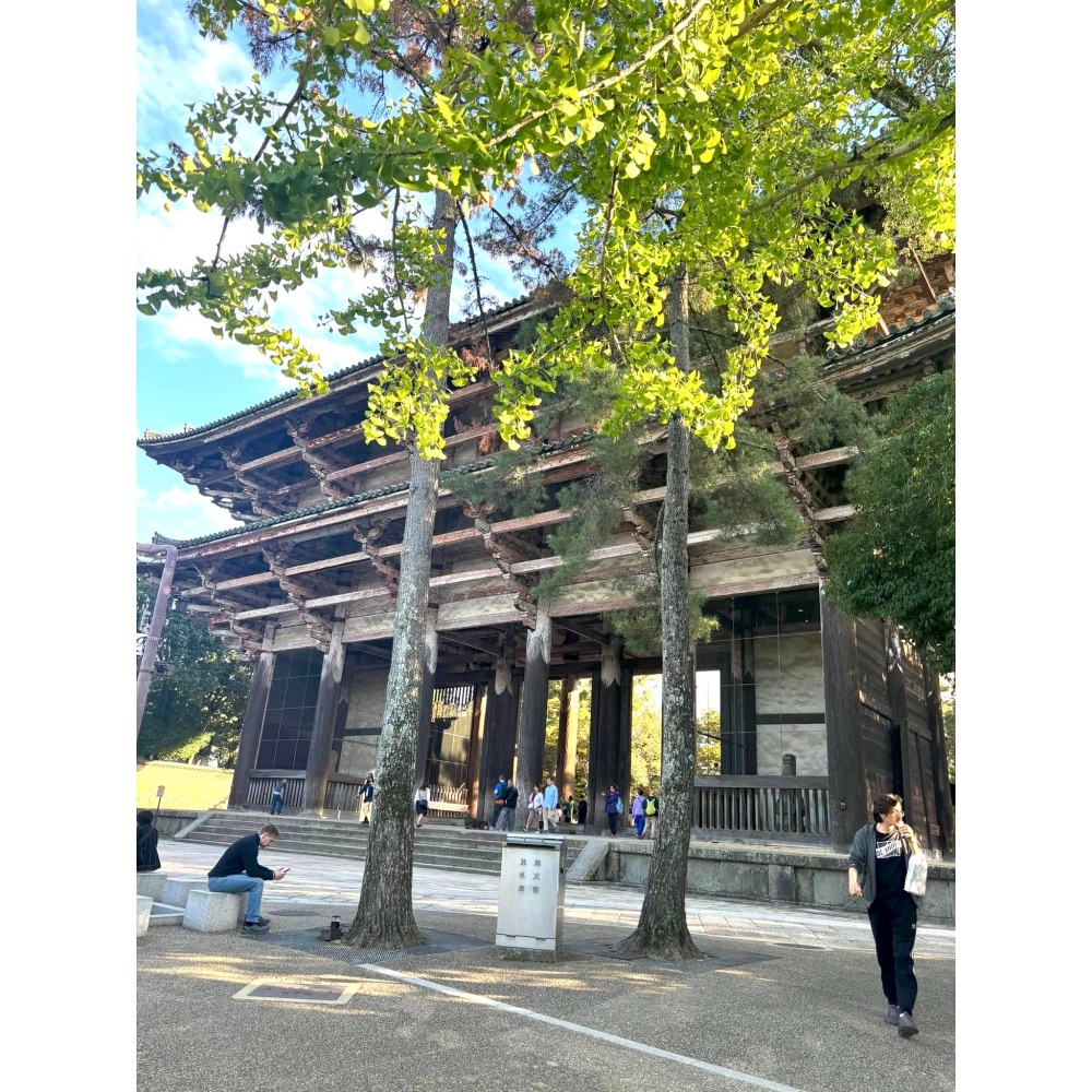 [宅米的窩] 少見獨特 奈良  限定 地區限定香  白檀 木蓮 金木犀 線香 靜心 冥想 淨化 線香-細節圖8