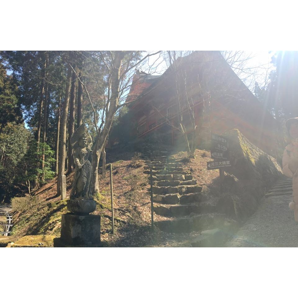[宅米的窩]一物一圖 清水寺 古木念珠（大） 京念珠 清水念珠 京都 音羽山 清水寺 觀音 念珠 千年古寺 古木念珠-細節圖9